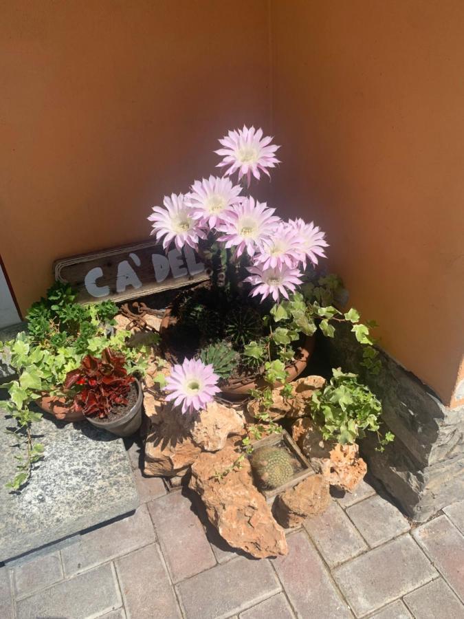 Villa Ca Del Fili Lenno Esterno foto